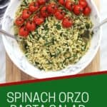 Pinterest graphic. Spinach orzo salad with text