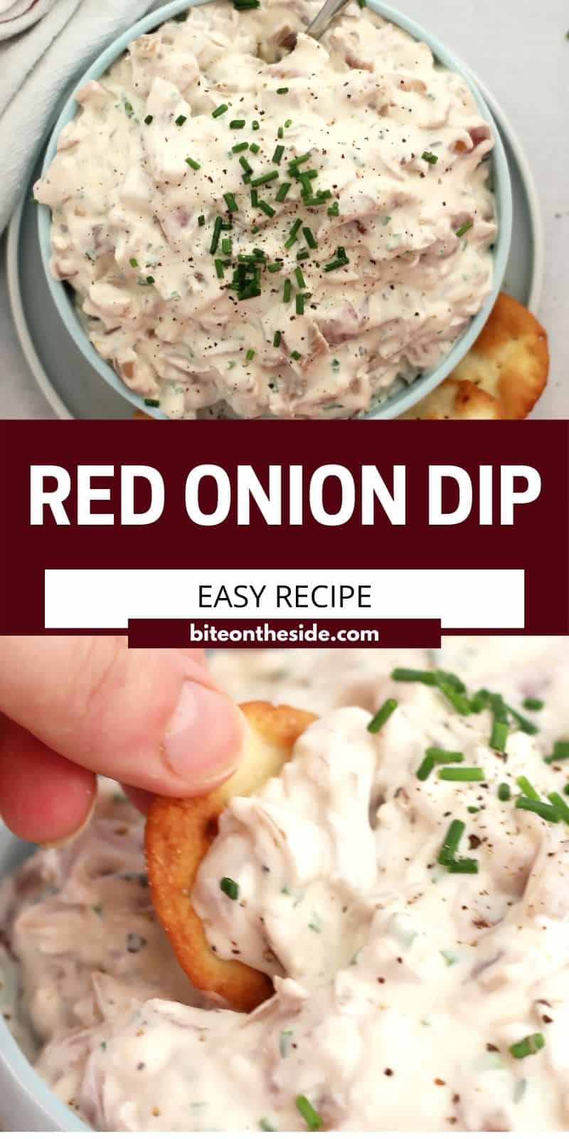 Red Onion Dip Bite On The Side
