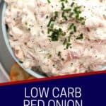 Pinterest graphic. Red onion dip with text.