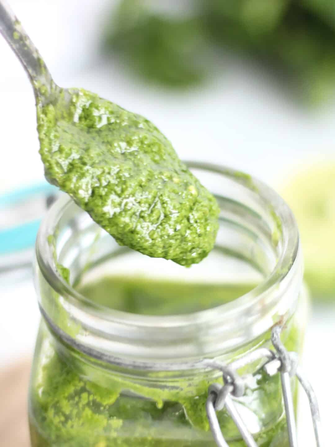 Asian Pesto Recipe (Cilantro Pesto) Bite On The Side