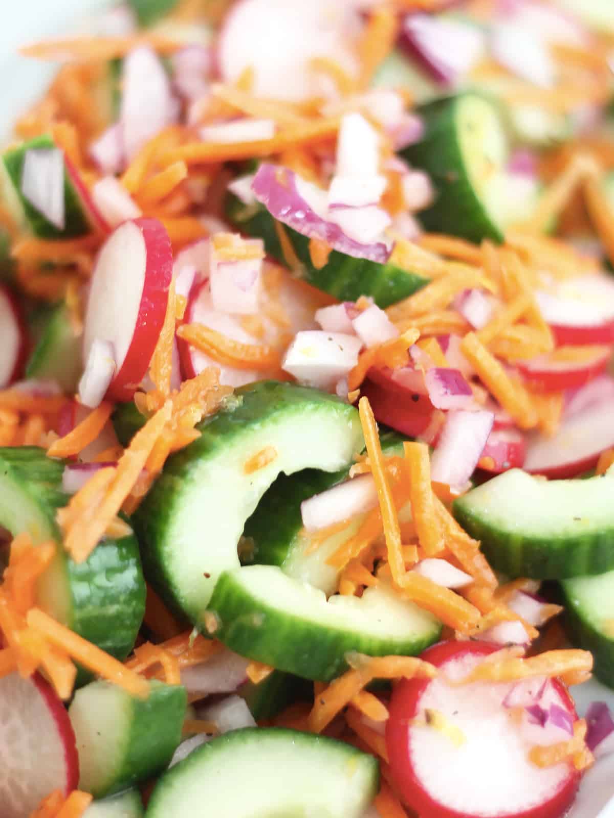 Sliced cucumber mixed with grated carrot and sliced radishes and red onion.