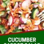 Pinterest graphic. Cucumber carrot and radish salad with text overlay.